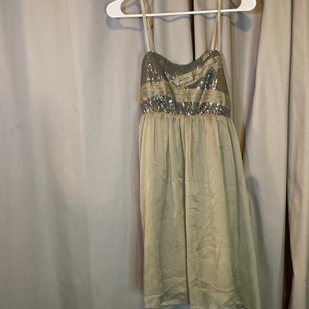 Daytrip holiday dress it’s a grayish green with Sparkle detail at the top